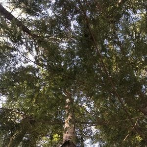 Meet your Posher, Jillian